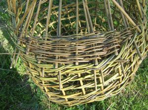 Before the remaining stakes are turned down a packing weve is completed at both sides. This weave is used to fill in the circular gap at each end. 
